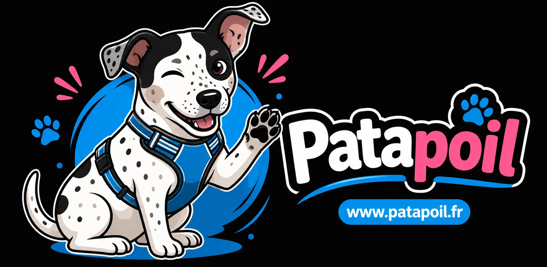 Patapoil