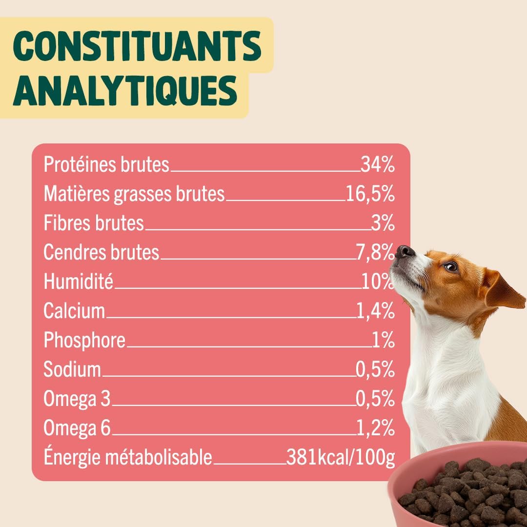 étiquette ingrédients croquettes Franklin saumon chien